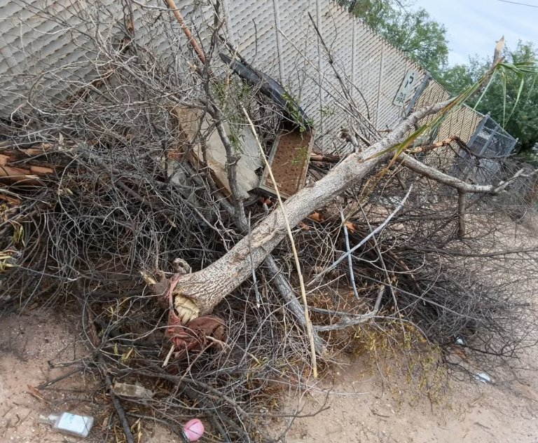 yard waste babylon